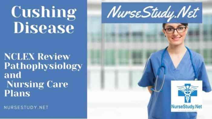 Nursing diagnosis for cushing's disease