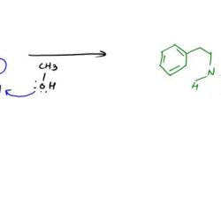 S-adenosylmethionine reacts with norepinephrine to form epinephrine