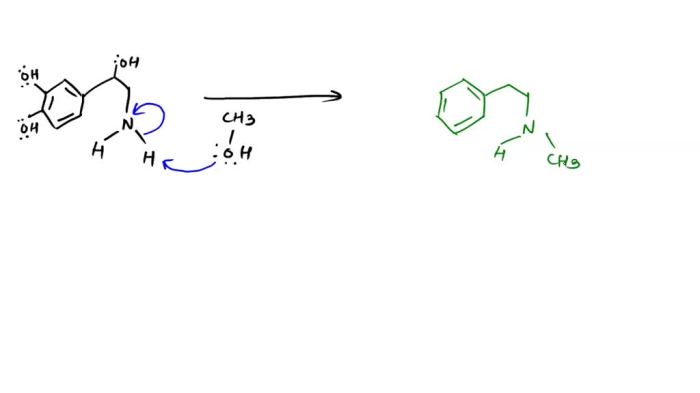 S-adenosylmethionine reacts with norepinephrine to form epinephrine